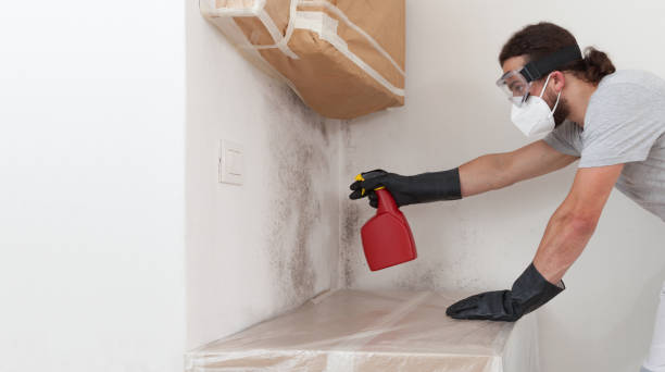Professional Mold Testing technician working in Evans, CO